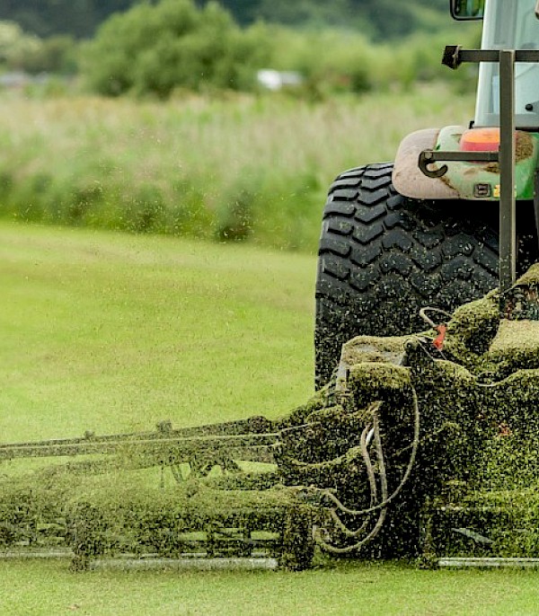 Grass Cutting & Maintenance
