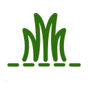 Grass Maintenance