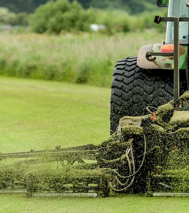 Grass Cutting & Maintenance