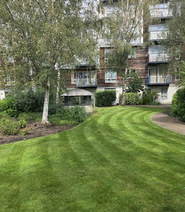 Grounds maintenance