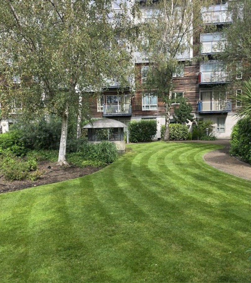 Grounds maintenance