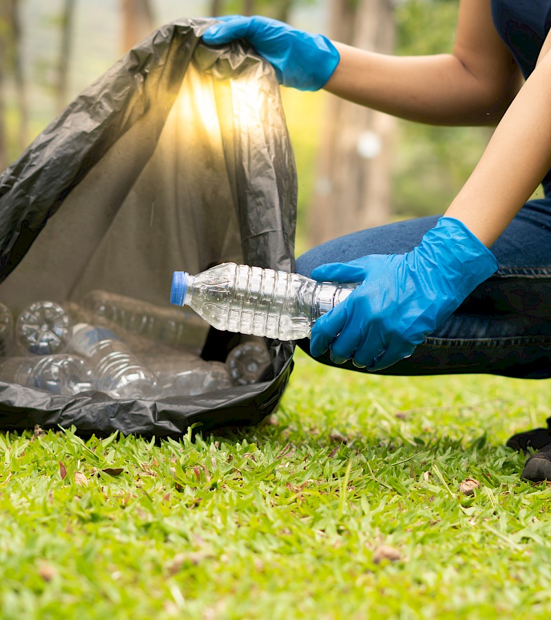 Commercial Litter collection