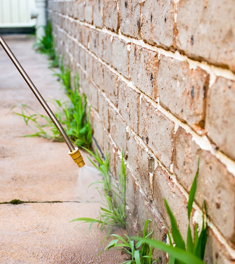 Weed spraying